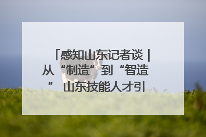 感知山东记者谈｜从“制造”到“智造” 山东技能人才引领产业升级