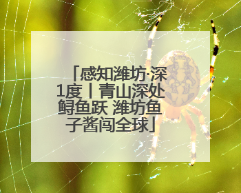 感知潍坊·深1度丨青山深处鲟鱼跃 潍坊鱼子酱闯全球