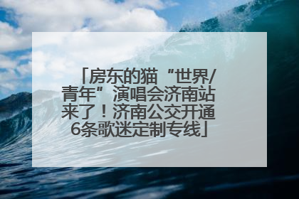 房东的猫“世界/青年”演唱会济南站来了！济南公交开通6条歌迷定制专线