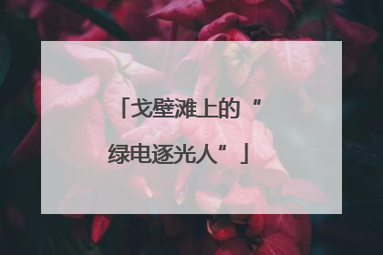 戈壁滩上的“绿电逐光人”