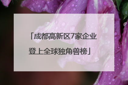 成都高新区7家企业登上全球独角兽榜