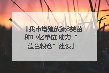 我市增殖放流8类苗种13亿单位 助力“蓝色粮仓”建设