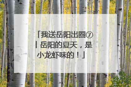 我送岳阳出圈⑦丨岳阳的夏天，是小龙虾味的！