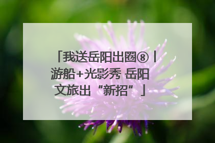 我送岳阳出圈⑧丨游船+光影秀 岳阳文旅出“新招”