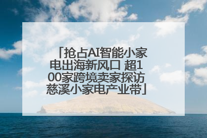 抢占AI智能小家电出海新风口 超100家跨境卖家探访慈溪小家电产业带