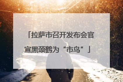 拉萨市召开发布会官宣黑颈鹤为“市鸟”