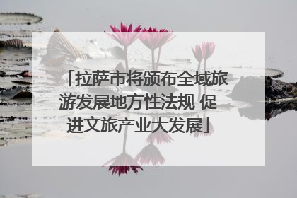 拉萨市将颁布全域旅游发展地方性法规 促进文旅产业大发展