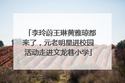 李玲蔚王琳黄雅琼都来了，元老明星进校园活动走进文龙巷小学