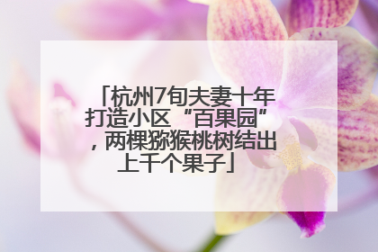 杭州7旬夫妻十年打造小区“百果园”，两棵猕猴桃树结出上千个果子