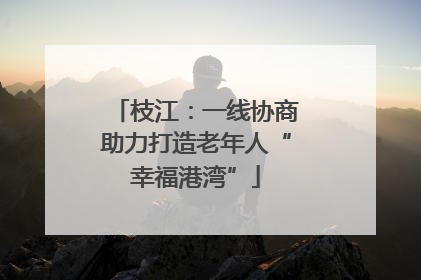 枝江：一线协商助力打造老年人“幸福港湾”