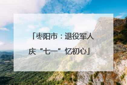 枣阳市：退役军人庆“七一”忆初心