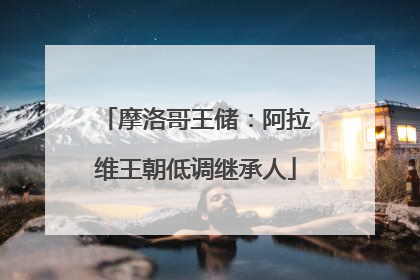 摩洛哥王储：阿拉维王朝低调继承人