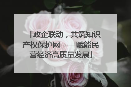 政企联动，共筑知识产权保护网——赋能民营经济高质量发展