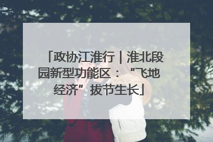 政协江淮行｜淮北段园新型功能区：“飞地经济”拔节生长