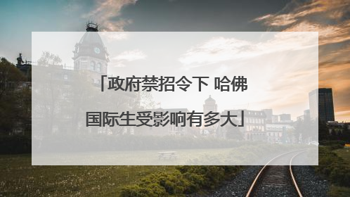 政府禁招令下 哈佛国际生受影响有多大