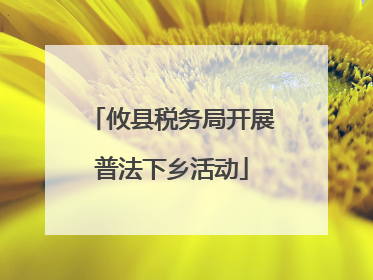 攸县税务局开展普法下乡活动
