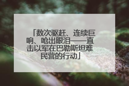 数次驱赶、连续巨响、呛出眼泪——直击以军在巴勒斯坦难民营的行动