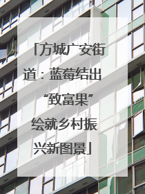 方城广安街道：蓝莓结出 “致富果” 绘就乡村振兴新图景