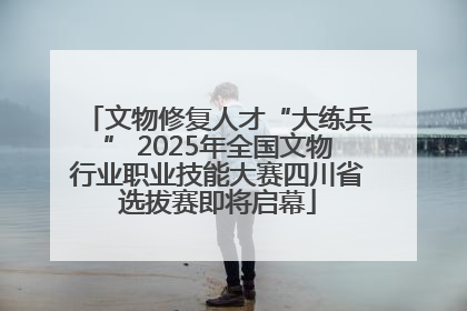 文物修复人才“大练兵” 2025年全国文物行业职业技能大赛四川省选拔赛即将启幕