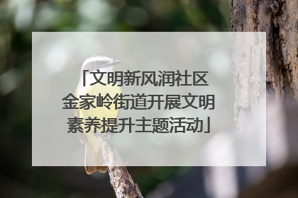 文明新风润社区 金家岭街道开展文明素养提升主题活动