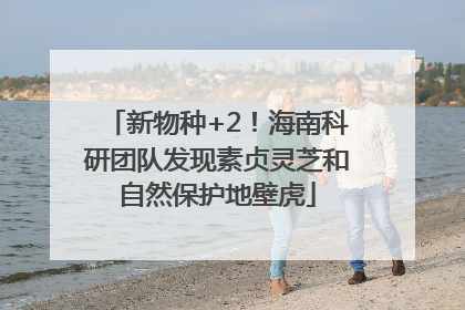 新物种+2！海南科研团队发现素贞灵芝和自然保护地壁虎