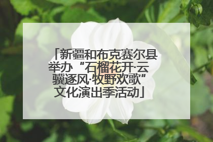 新疆和布克赛尔县举办“石榴花开·云骥逐风·牧野欢歌”文化演出季活动