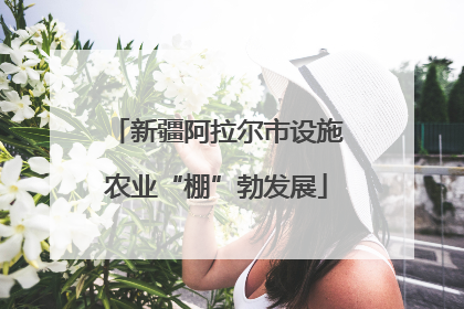 新疆阿拉尔市设施农业“棚”勃发展