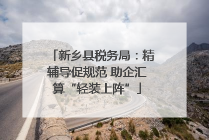 新乡县税务局：精辅导促规范 助企汇算“轻装上阵”