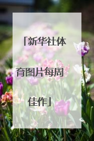 新华社体育图片每周佳作