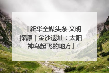 新华全媒头条·文明探源｜金沙遗址：太阳神鸟起飞的地方