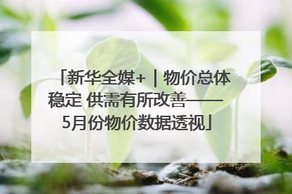 新华全媒+｜物价总体稳定 供需有所改善——5月份物价数据透视