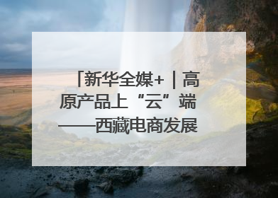 新华全媒+｜高原产品上“云”端——西藏电商发展一线观察