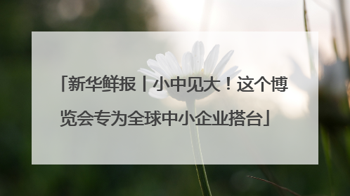 新华鲜报丨小中见大！这个博览会专为全球中小企业搭台