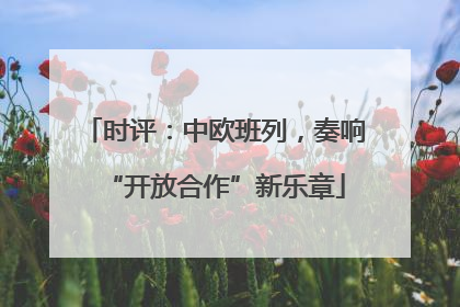 时评：中欧班列，奏响“开放合作”新乐章