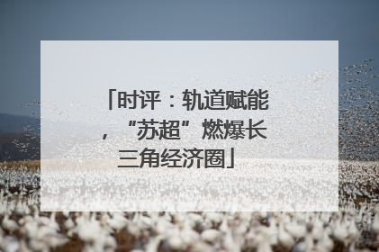 时评：轨道赋能，“苏超”燃爆长三角经济圈