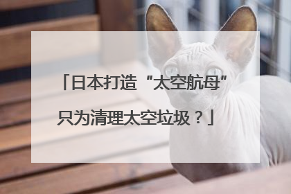 日本打造“太空航母”只为清理太空垃圾？
