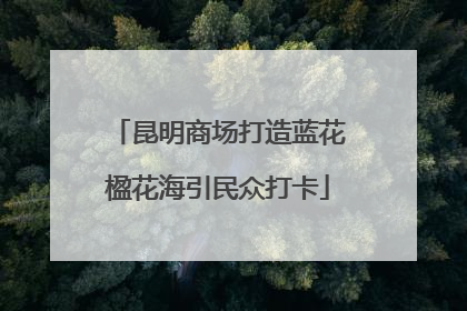 昆明商场打造蓝花楹花海引民众打卡