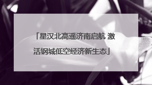 星汉北高遥济南启航 激活钢城低空经济新生态