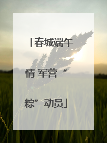 春城端午情 军营“粽”动员