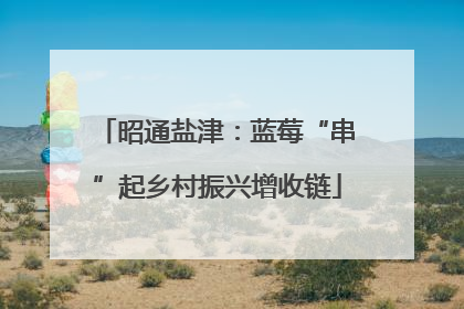 昭通盐津：蓝莓“串”起乡村振兴增收链