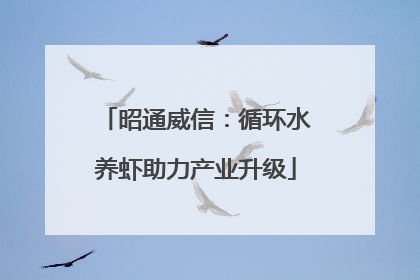昭通威信：循环水养虾助力产业升级