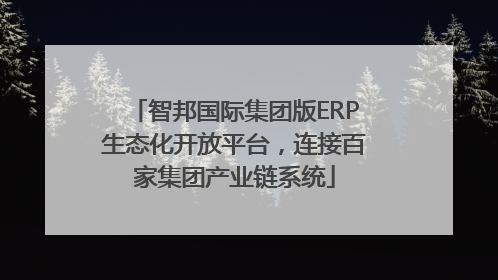 智邦国际集团版ERP生态化开放平台，连接百家集团产业链系统