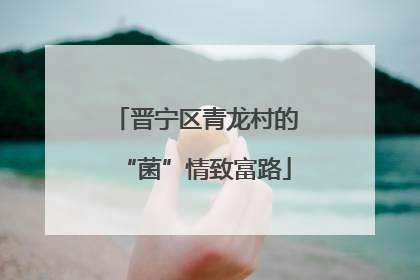 晋宁区青龙村的“菌”情致富路