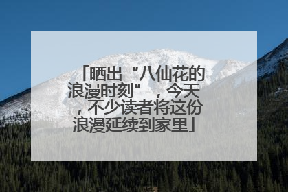 晒出“八仙花的浪漫时刻”，今天，不少读者将这份浪漫延续到家里