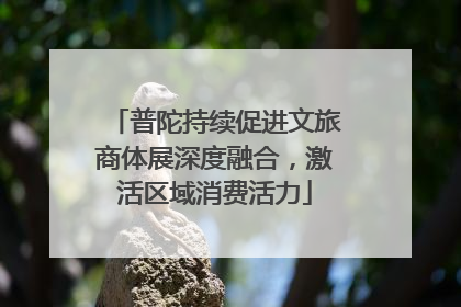普陀持续促进文旅商体展深度融合，激活区域消费活力