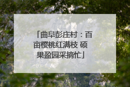 曲阜彭庄村：百亩樱桃红满枝 硕果盈园采摘忙