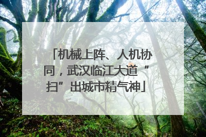 机械上阵、人机协同，武汉临江大道“扫”出城市精气神