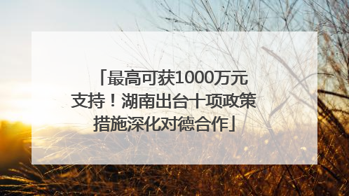 最高可获1000万元支持！湖南出台十项政策措施深化对德合作