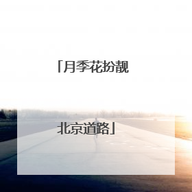 月季花扮靓北京道路