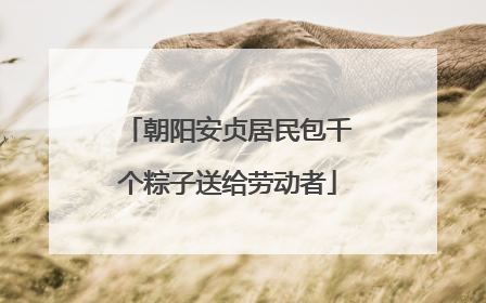 朝阳安贞居民包千个粽子送给劳动者